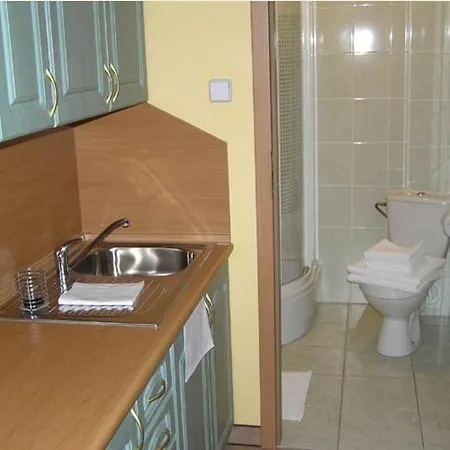 Bed & Breakfast Dom Goscinny Pod Brzozami Poznan