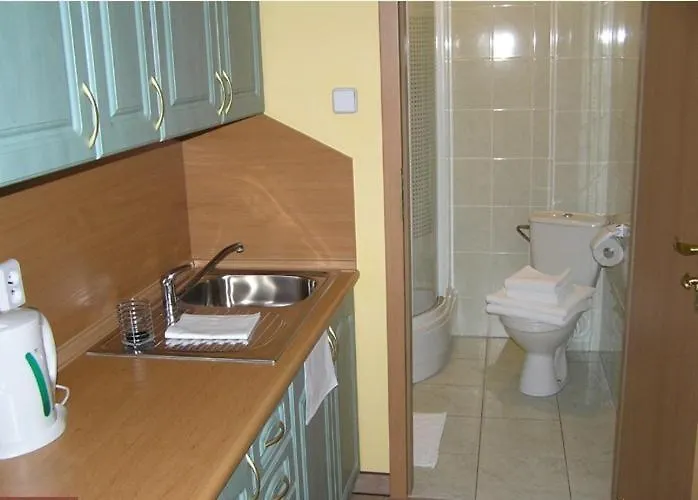 Bed & Breakfast Dom Goscinny Pod Brzozami Poznan