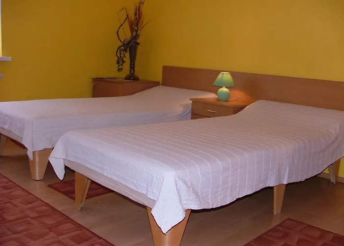 Dom Goscinny Pod Brzozami