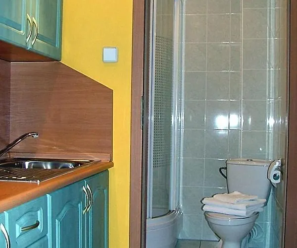 Bed & Breakfast Dom Goscinny Pod Brzozami 3*