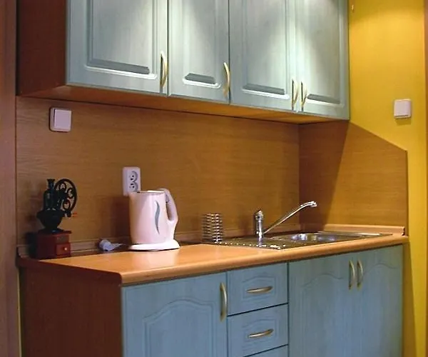 Bed & Breakfast Dom Goscinny Pod Brzozami